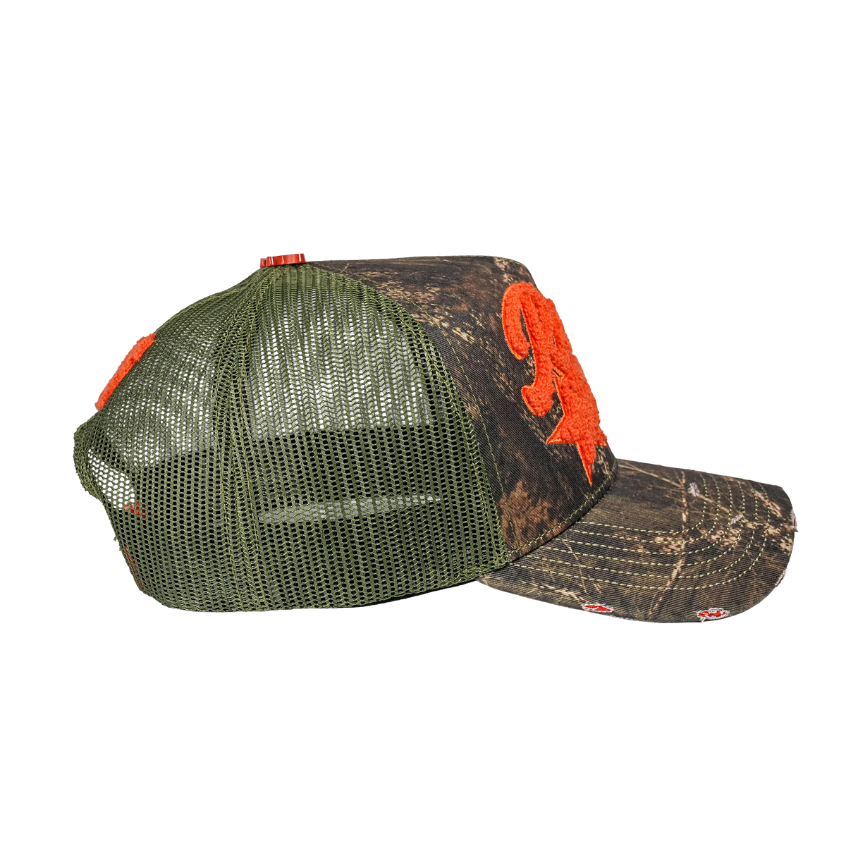Raptor